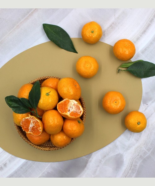 [당도선별] 월동 비가림 하우스 감귤 4.5kg(로얄과/13brix이상)